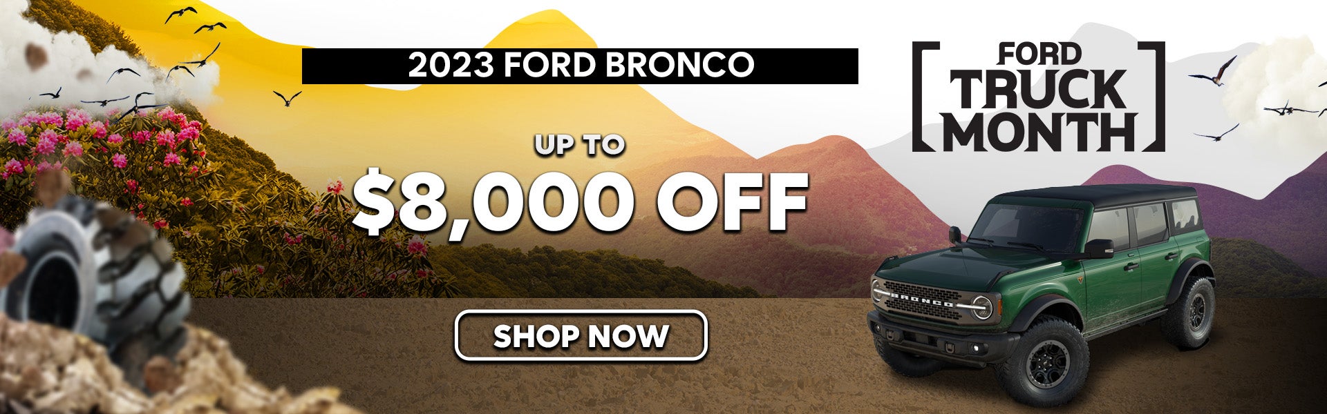 2023 Ford Bronco Special Offer