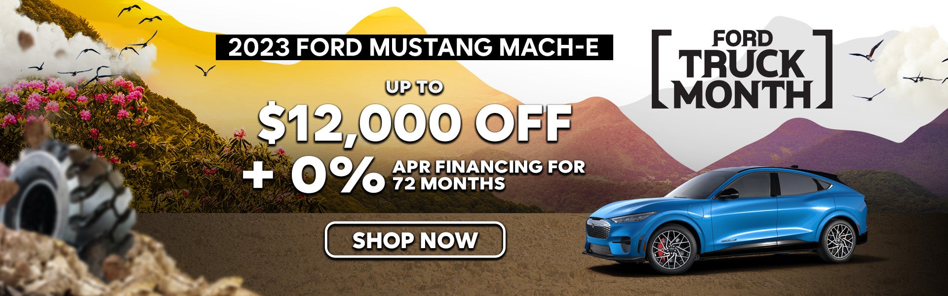 2023 Ford Mustang Mach-E Special Offer