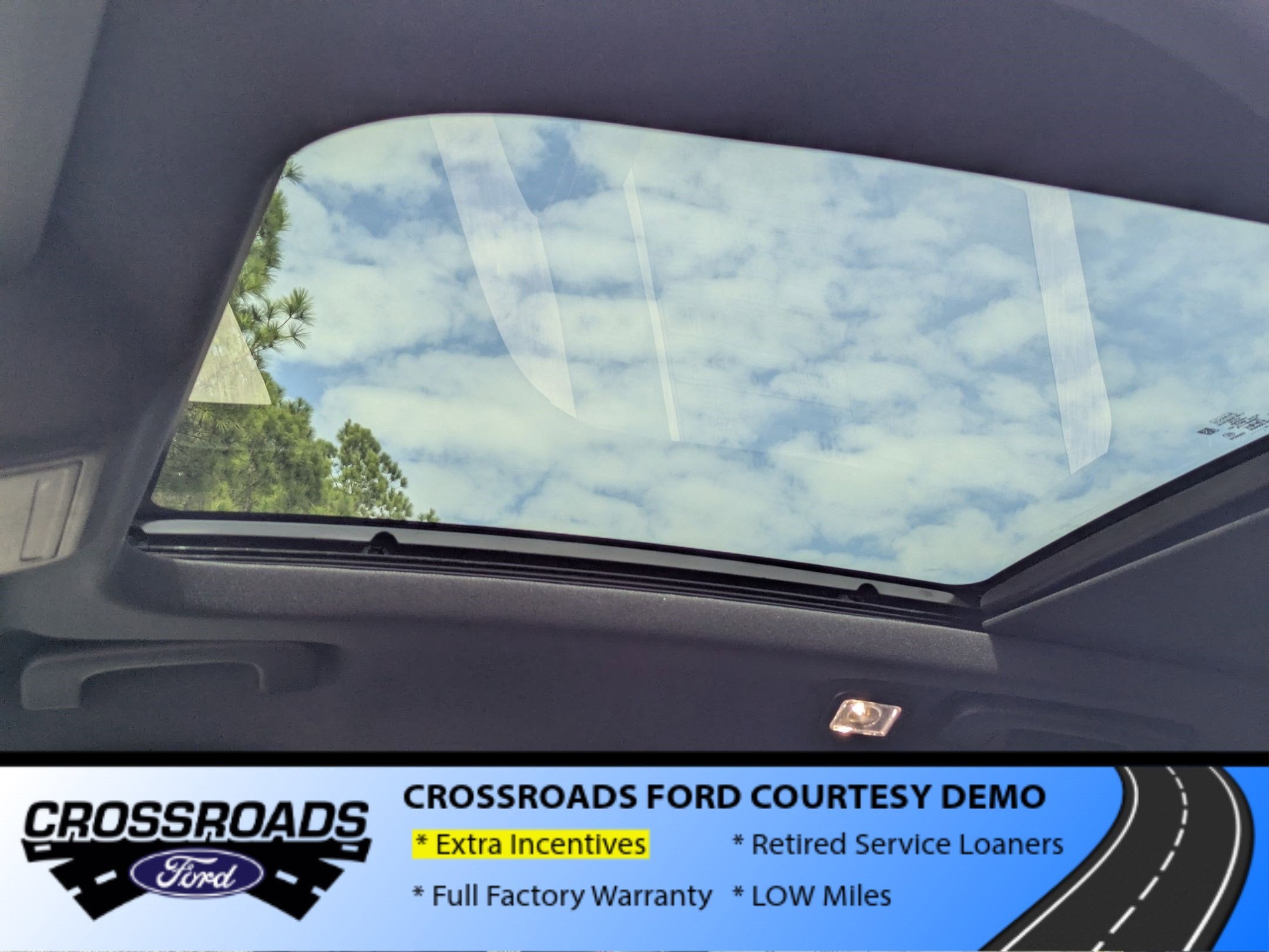 2026 Ford Escape ST-Line - Crossroads Courtesy Demo