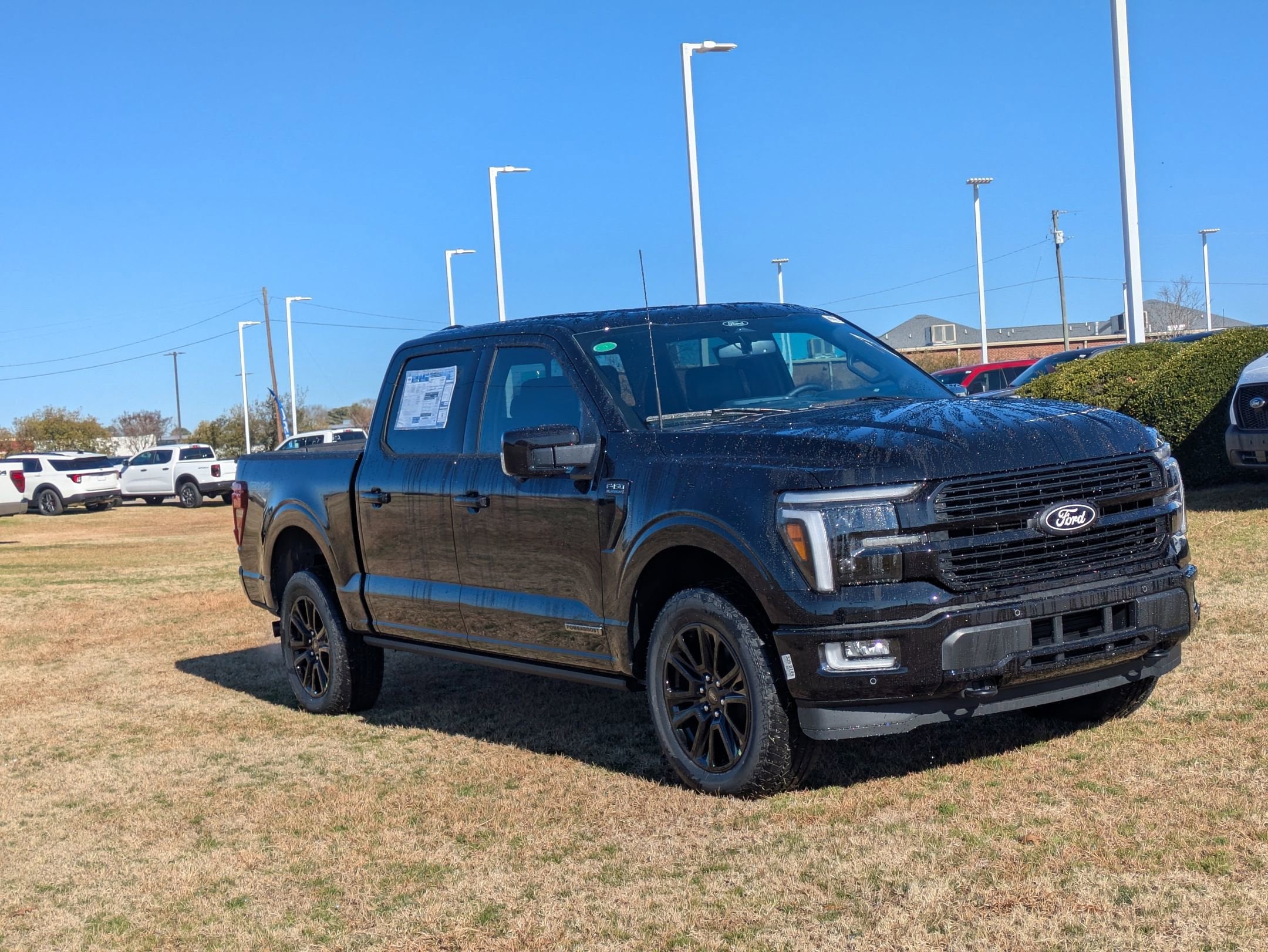 2025 Ford F-150 Platinum