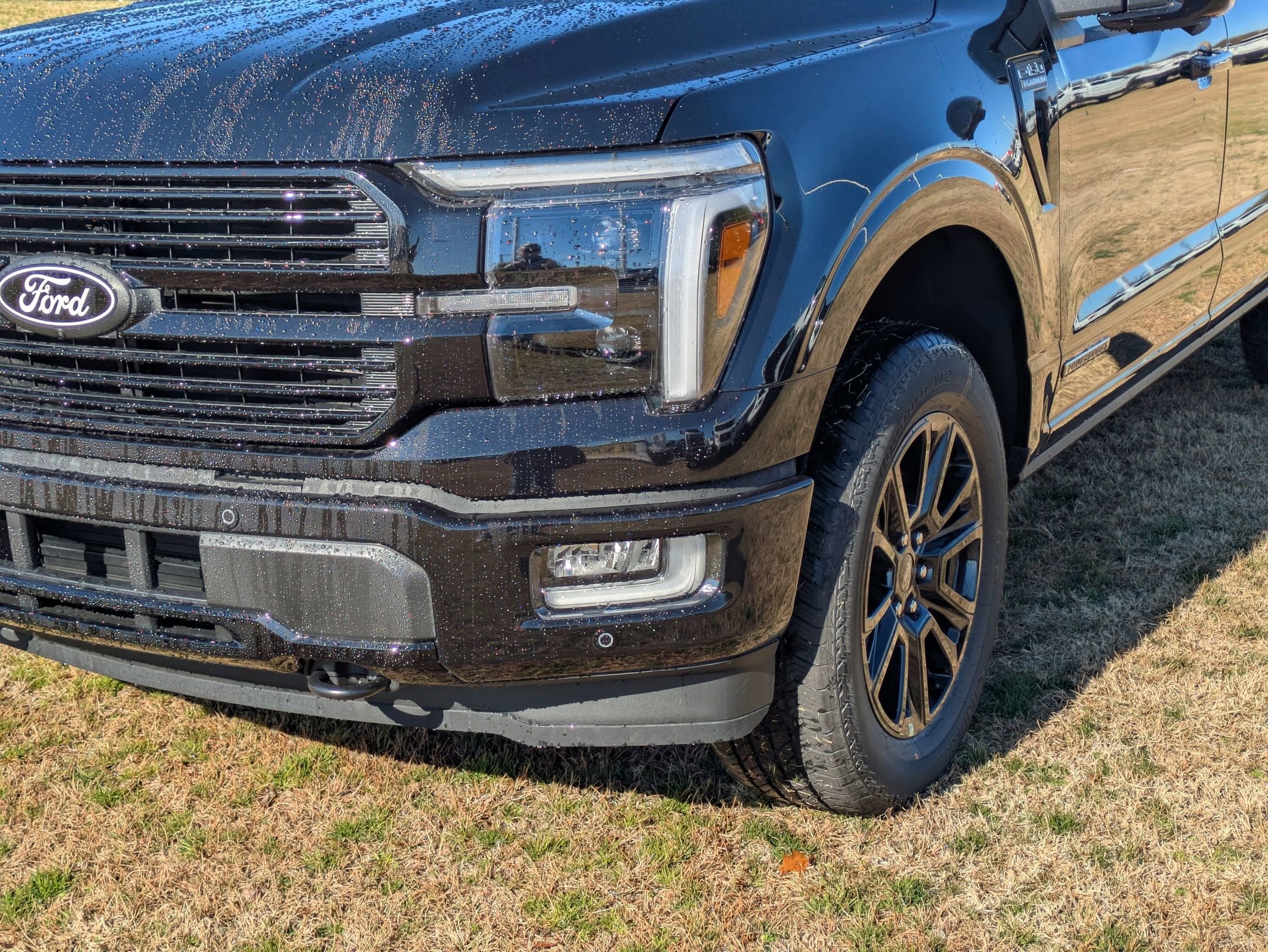 2025 Ford F-150 Platinum