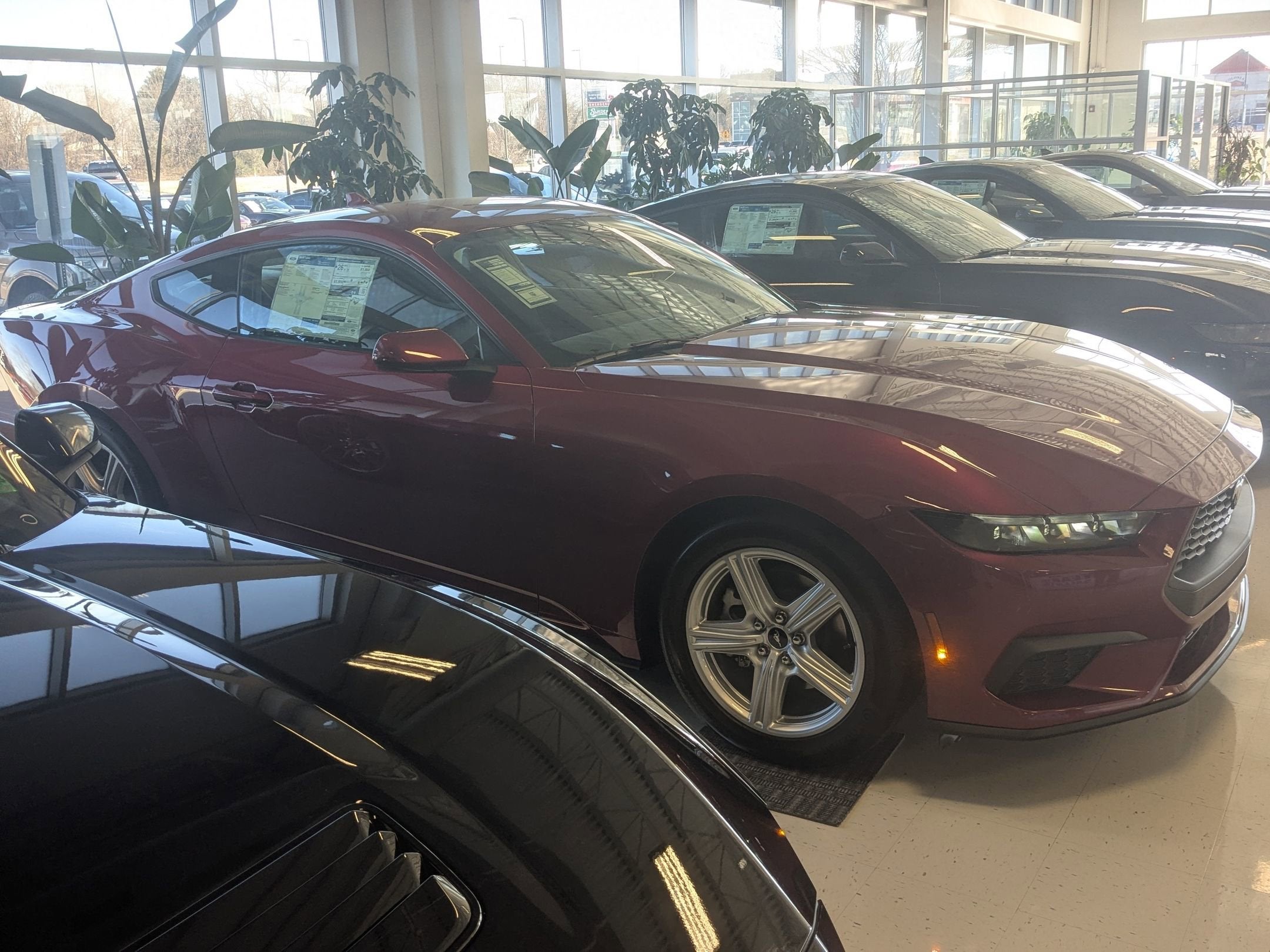 2026 Ford Mustang EcoBoost