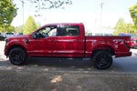 2026 Ford F-150 XLT - Crossroads Courtesy Demo