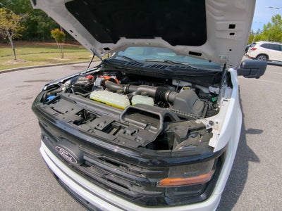2025 Ford F-150 XLT - Crossroads Courtesy Demo