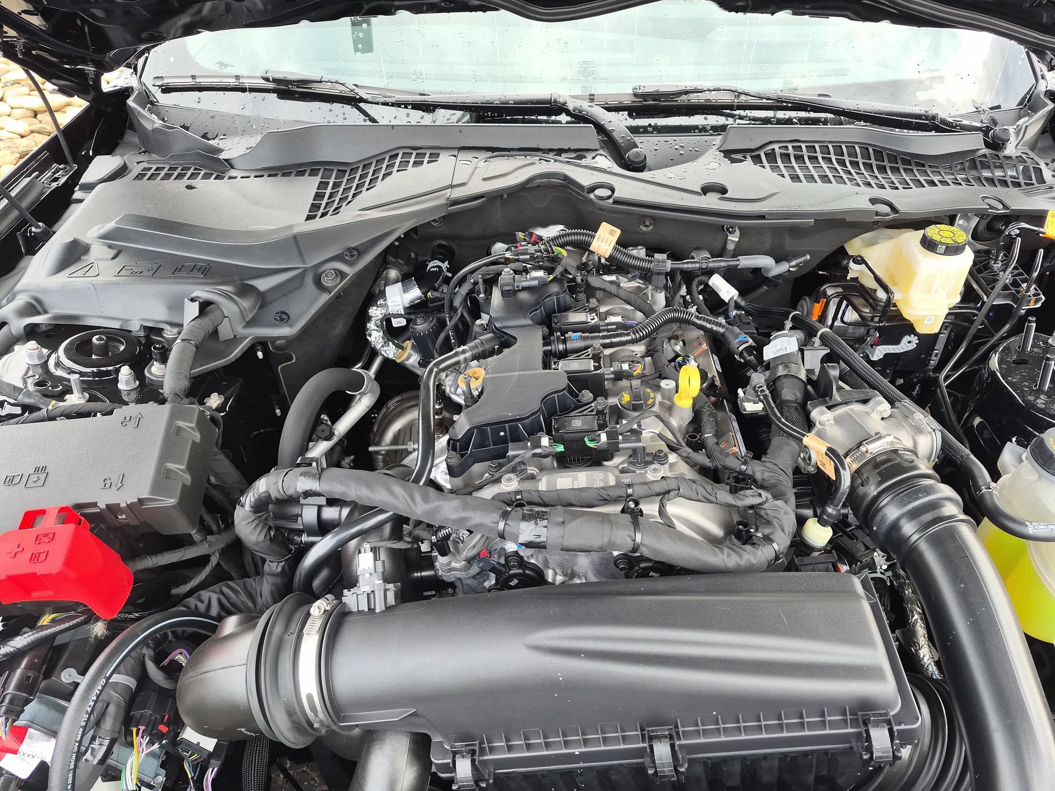 2026 Ford Mustang EcoBoost Premium