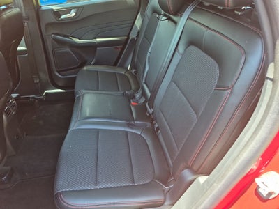 2025 Ford Escape ST-Line - Crossroads Courtesy Demo