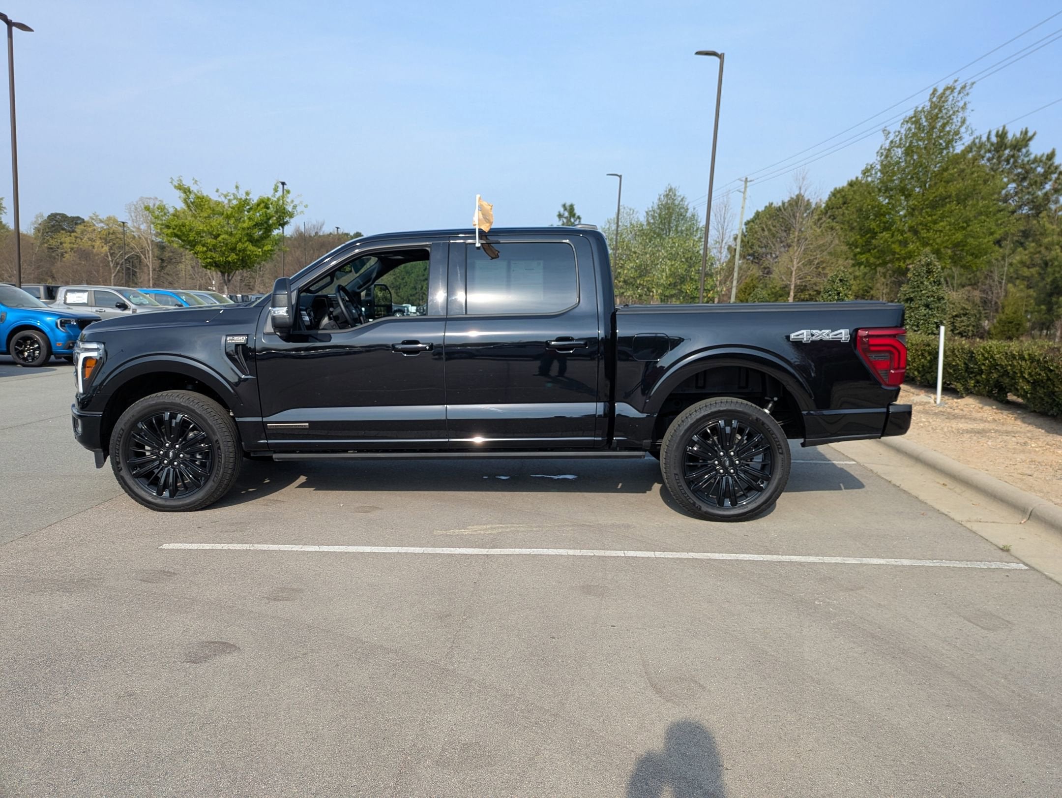 2025 Ford F-150 Platinum