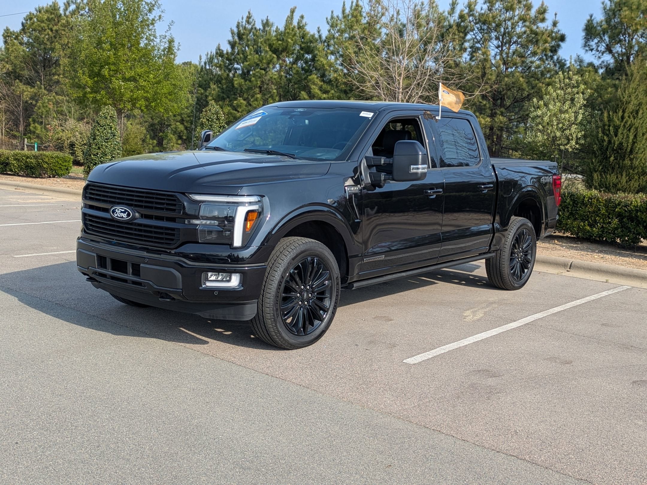 2025 Ford F-150 Platinum