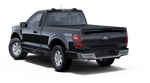 2025 Ford F-150 Saleen XL